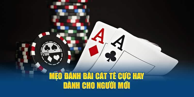 Thủ thuật và chiến thuật trong cách chơi bài Catte