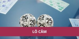 Lô Câm Là Gì? Chi Tiết Cách Chơi Và Dự Đoán Hiệu Quả